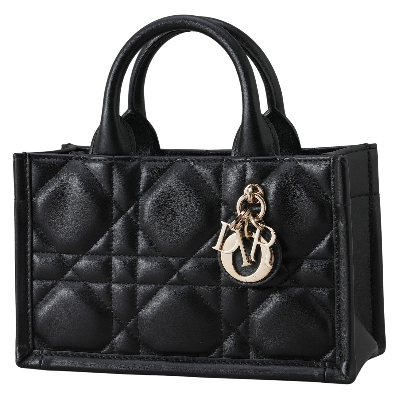 CHRISTIAN DIOR(USED)디올 레더 북토트 미니